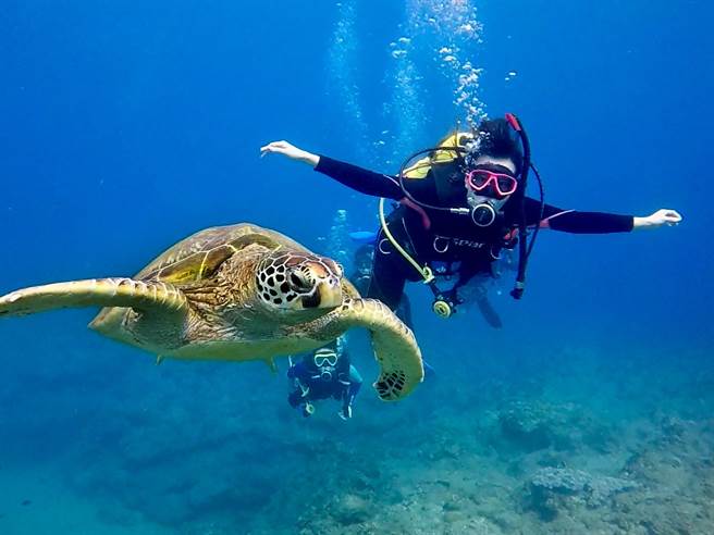 「弹性工作八小时」让李惠娟安排时间考取潜水证照，投入美丽海洋的怀抱。