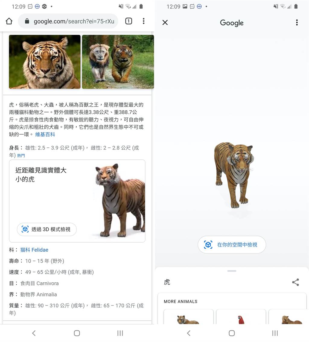 Google 3D動物功能可透過搜尋啟用。（手機截圖）
