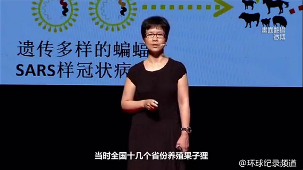 叛逃？「武漢實驗室」研究員石正麗闢謠 兩岸 中時新聞網