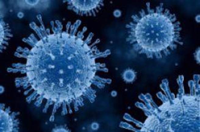 陆增36例本土病例 石家庄恢復公共交通运营服务（新华社）