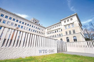 WTO代表懸缺8個月 國際賽打假的