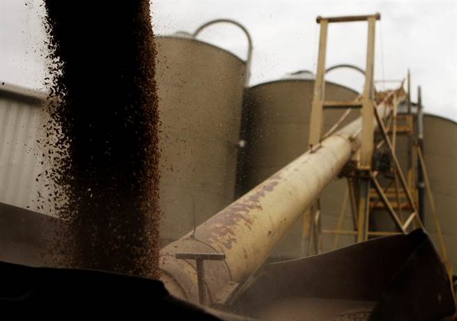 澳洲雪梨郊區大麥筒倉的資料照。（路透）