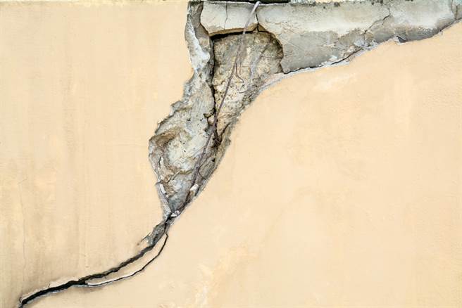 墙壁「长出树根尾巴」网惊：房子快不保了（示意图／达志影像）