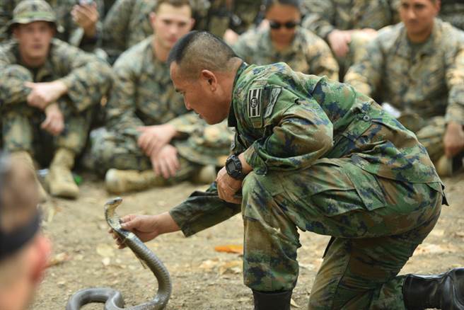 无惧眼镜蛇攻击姿态！Pairoj Prasansai徒手抓蛇头，影片曝光惊呆百万人。（图／达志影像）