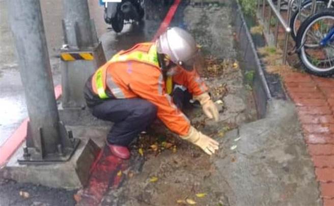 清洁队人员徒手清理落叶。（图／摘自高雄市政府环保局脸书）