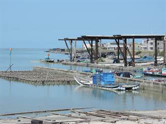 嘉縣東石舊漁港淤沙嚴重 影響蚵農作業