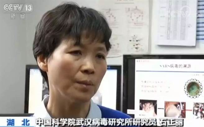 中国科学院武汉病毒研究所研究员石正丽。（央视截图）