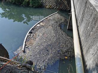 苗縣增設河川攔汙網 竟清出20噸塑料、動物屍體垃圾