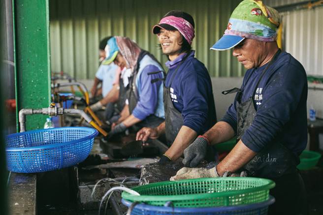 现场亦有代客杀鱼取肚的服务。（图／陈敏佳摄）