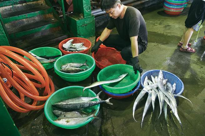 眼明手快是满载而归的不二法门。（图／陈敏佳摄）