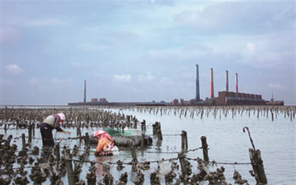 木樁與漁網做成的蚵寮，是很好的反登陸障礙。(圖/彰化縣政府)