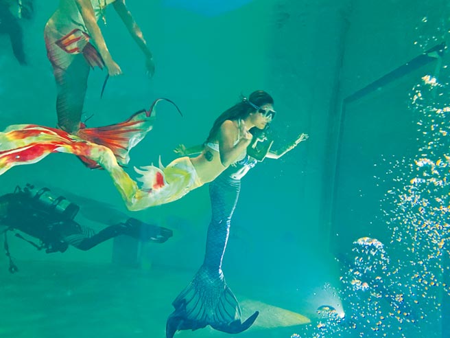 端午連假國立海科館推出海洋電影院、美人魚cosplay等免費體驗。（國立海科館提供／許家寧基隆傳真）