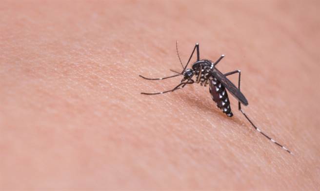 噴防蚊液蚊子照叮不誤 專家揭原因：有這3成分才有用 (圖／pixabay)