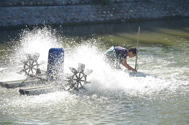 台南發展漁電共生，期望改善養殖環境，未來導入AIOT智慧養殖技術升級養殖產業。/圖業者提供