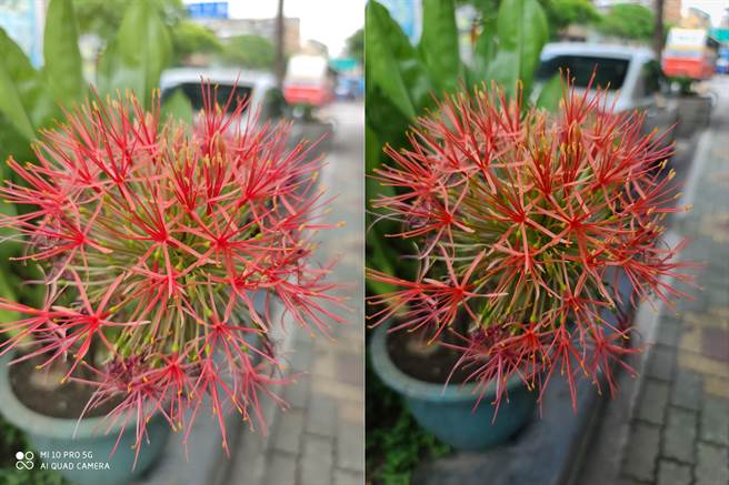 小米10 Pro(左)与三星Galaxy S20 Ultra主相机日间拍摄对比(2)。(黄慧雯摄)