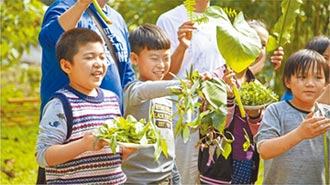 野菜學校 讓孩子更親近土地