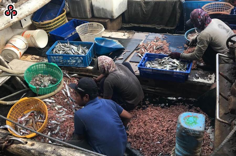 The Labor Insurance Bureau stated that regardless of the number of people employed, the owner of the fishing vessel should insure labor insurance for the hired fisherman. If he is reported or inspected, he will be investigated and dealt with according to law.  (Photo of the newspaper)