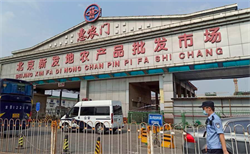 大陸全國將逐步取消活禽市場交易