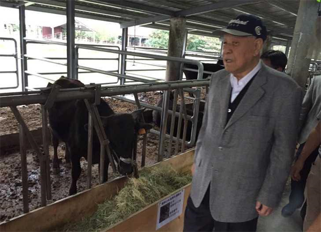 李前總統3年前投入養牛事業。（圖／翻攝李登輝臉書）