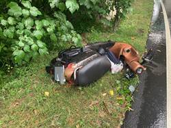 中市暴雨成災 路樹倒塌壓傷女騎士一度命危