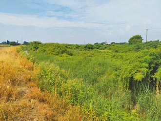 學甲動保園區 地方正反意見角力