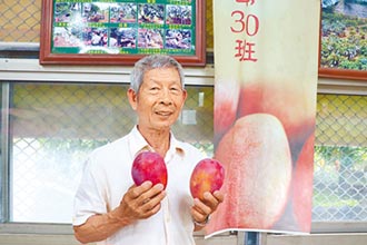 芒果達人吳清進 子承衣缽萬事足