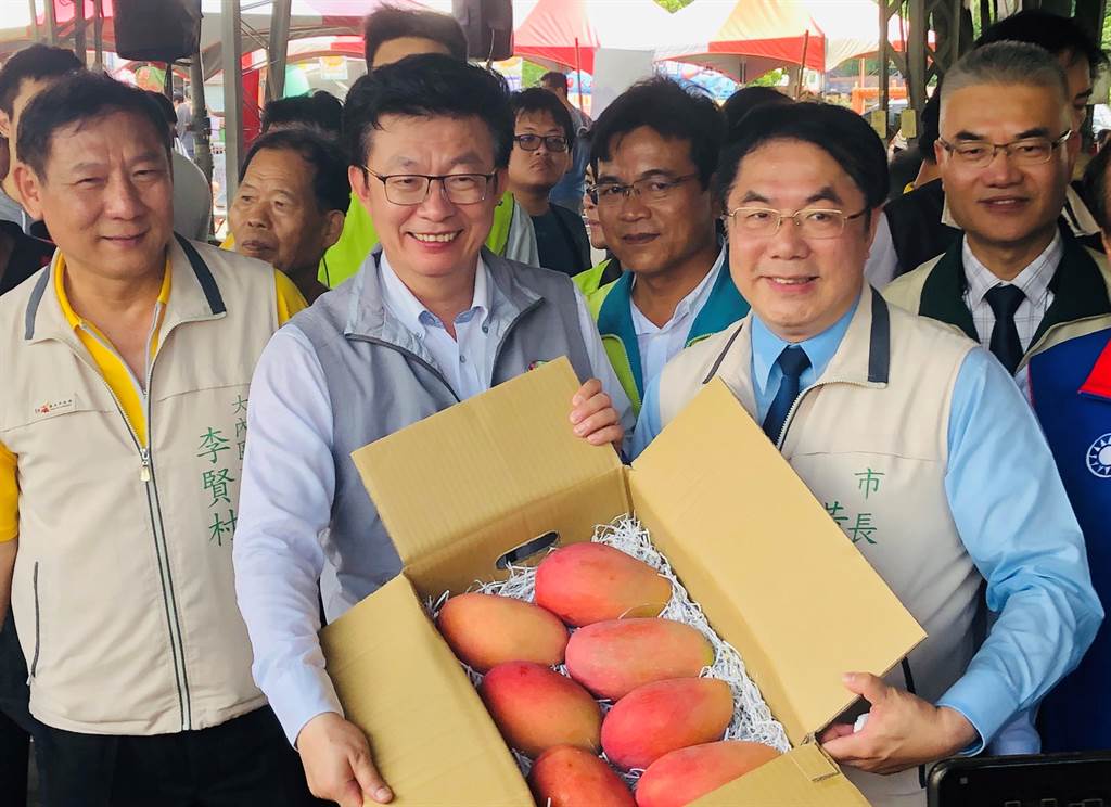 芒果季節來臨，台南市政府農業局在轄內的6個重要芒果產地，都有舉辦系列的產業文化活動，5日活動在大內區舉行。（莊曜聰攝）