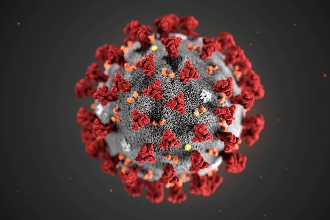 全球32國、共239名科學家下周即將向世界衛生組織（WHO）發表公開信，指控世衛忽視新冠病毒會透過「空氣傳播」的風險，呼籲WHO更新相關防疫建議。（圖／美國CDC）