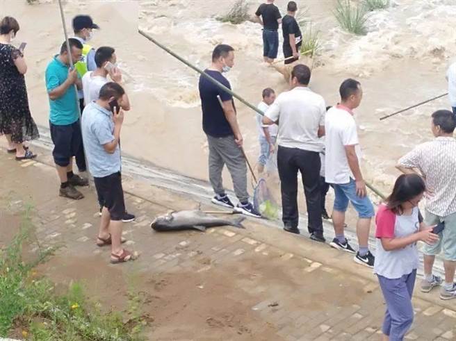 湖北省宜昌市兴山县古洞水库开闸泄洪时，有大量民眾聚集捞鱼，以致发生民眾被泄洪急流冲走事故，至少1死1失踪。（图／南方都市报）