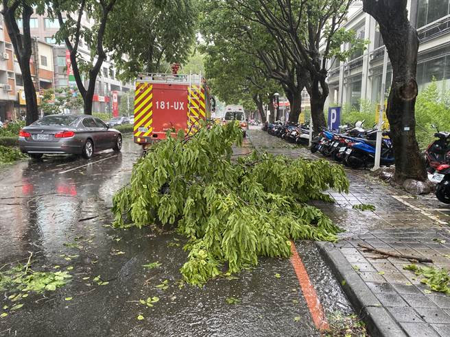 台中暴雨路樹折枝傷騎士市府將協助申請國賠 社會 中時