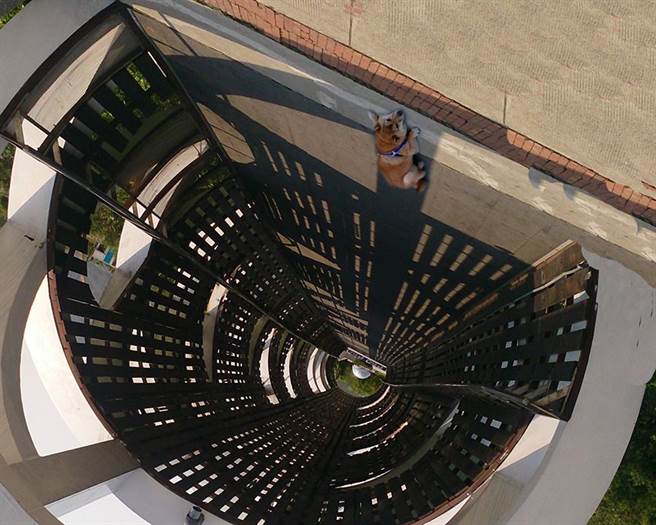 有网友贴出一张柴犬悬挂在深邃洞口边缘的惊悚照片。(图/柴犬Q酱授权提供)