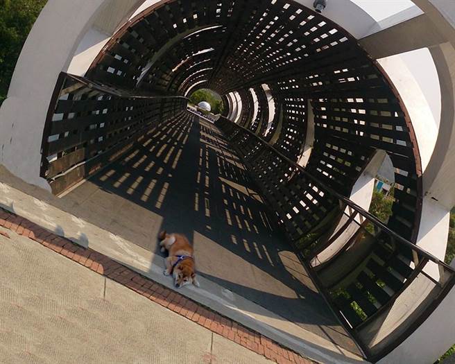 其实只不过是照片转了180度才产生的错觉。(图/柴犬Q酱授权提供)