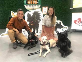 台灣心輔犬團隊培訓流浪犬療育特殊兒童