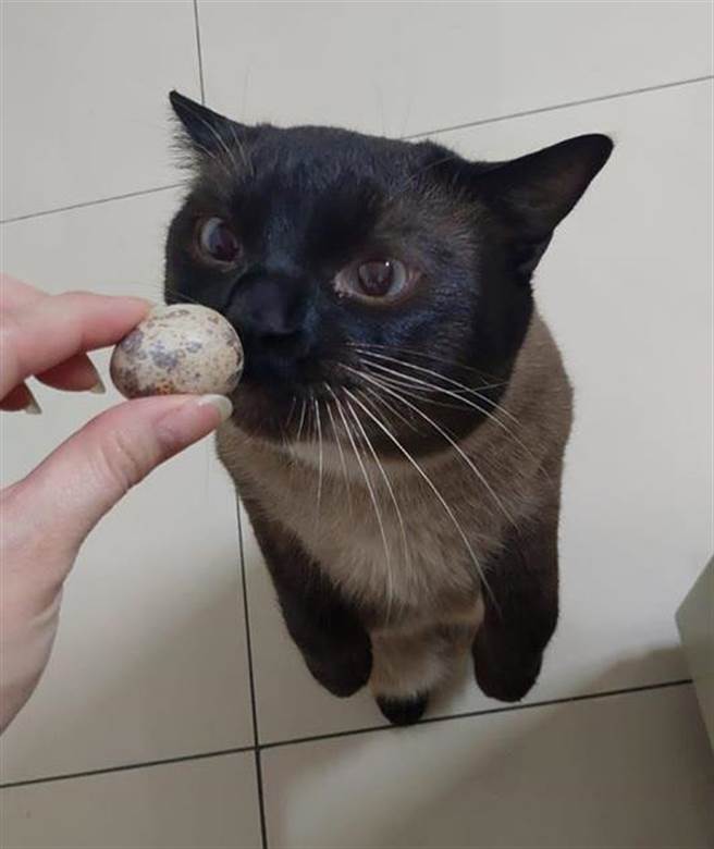 弟弟除了变黑之外也身材走钟，变成黑黑的胖大叔。(图/原PO授权提供)