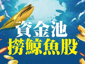 個股持續輪動資金池撈鯨魚股 中時新聞網 中時新聞網