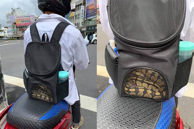 小鲜肉骑士「背包遛蟒蛇」网惊：起鸡皮疙瘩了（图／莫小姐提供，未经授权请勿擅自取用）
