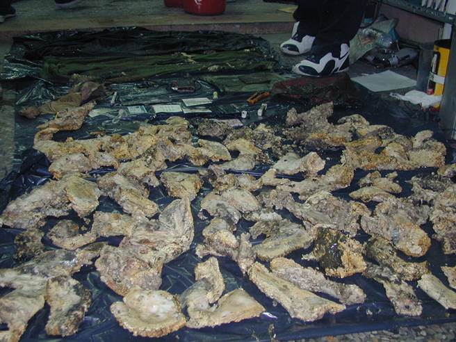 台中市龙井区在2003年12月7日时，发生1起女保险员遭到先勒晕后奸杀惨案，凶手事后还将她分尸削肉下来煮来吃。(中时资料库)