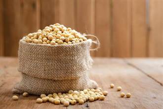 植物性蛋白質來源黃豆 日研究：可能增加胰臟癌風險