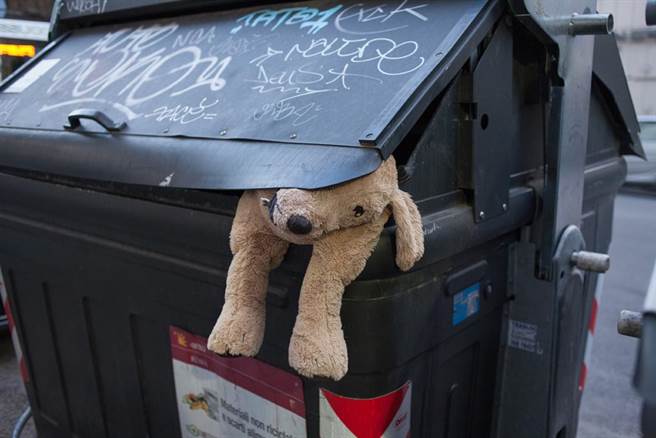 巴西病狗被丢垃圾桶等死…绝望眼神让人心碎（示意图／达志影像）