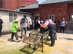 一日農夫體驗  百人農村體驗割稻趣