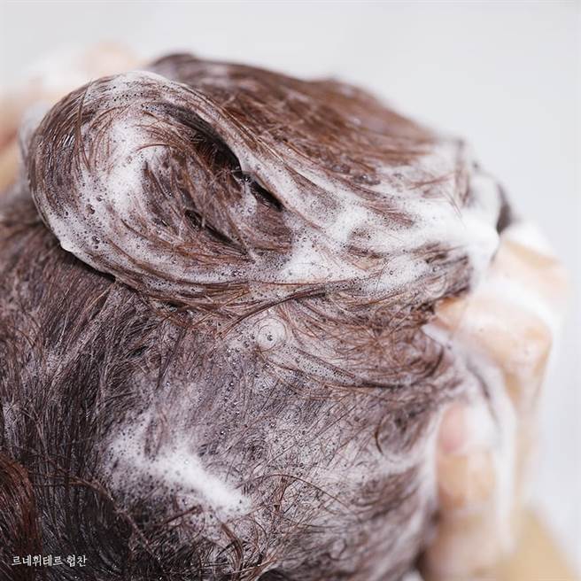 以清潔去油的洗髮精按摩頭皮，並停留3分鐘加強去除頭皮油脂及髮絲異味再洗淨。（圖／品牌提供）