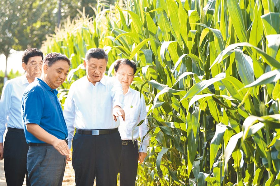 7月22日，大陸國家主席習近平（右2）赴吉林考察，了解糧食生產情況。 （新華社）