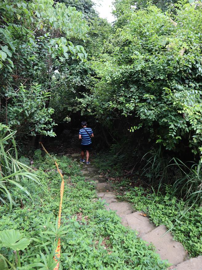 豐原公老坪登山步道開工蜈蚣般蜿蜒高低落差140公尺 寶島 中時