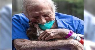 88歲老翁突中風癱瘓　忠犬「聽懂主人話」及時救援！