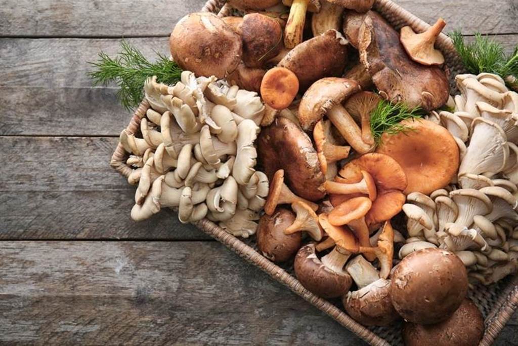 營養師指出，菇類富含多醣體及人體必需胺基酸、蛋白質、維生素B群與維生素D等，營養價值很高。（圖／達志影像/shutterstock）