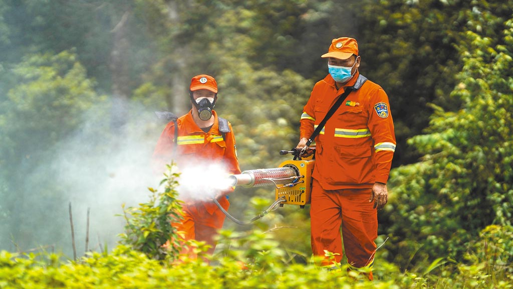 蝗蟲肆虐雲南專家稱可控制 兩岸新聞 旺報