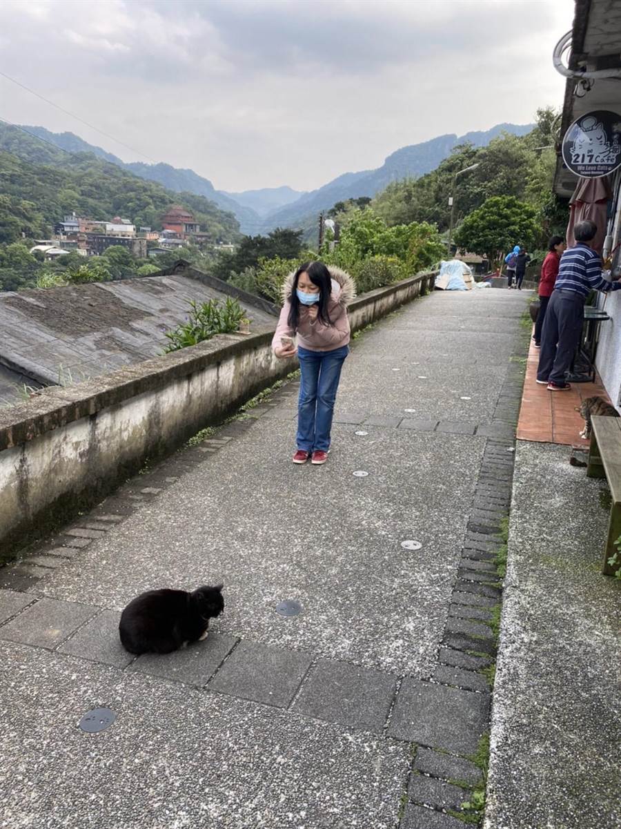 猴硐貓村即日起入內實名制、強制戴口罩。（新北動保處提供／吳康瑋新北傳真）