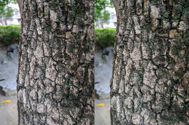 Google Pixel 4a（左）对比Pixel 4日间实拍照（4）。（黄慧雯摄）
