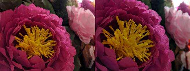 Google Pixel 4a（左）对比Pixel 4室内日间实拍照。（黄慧雯摄）
