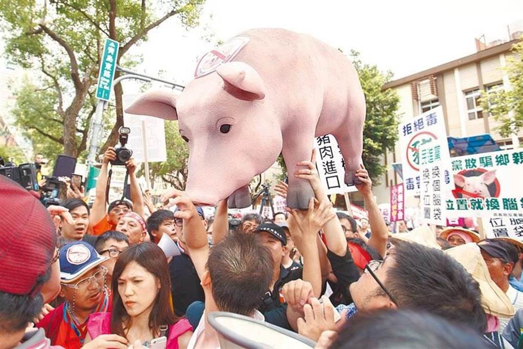 2016年各地養豬協會與豬農到立法院外抗議，指責民進執政後就改變立場開放美豬進口，置農民生計於不顧。(資料照，杜宜諳攝）
